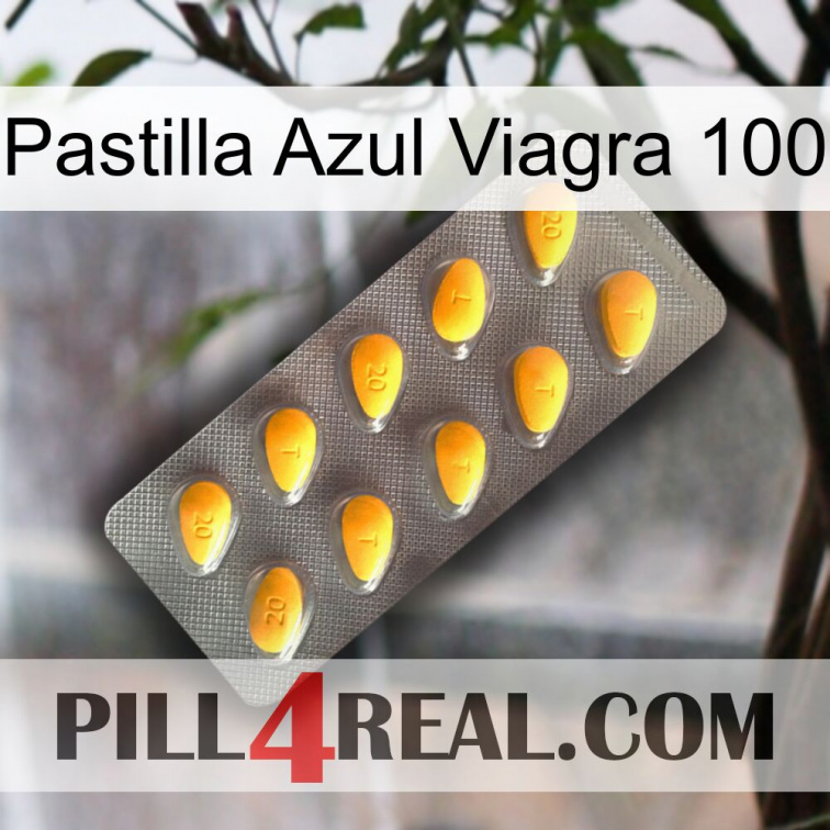 Blue Viagra Pill 100 cialis1